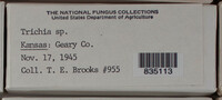 Image Associated With the Occurence